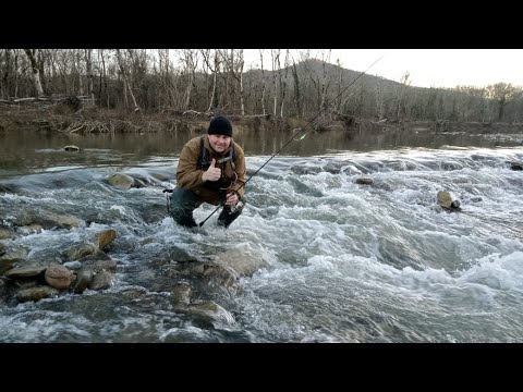 Видео: щука и голавль в горах