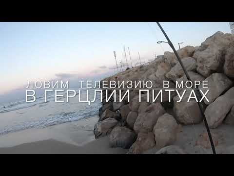 Видео: Рыбалка на телевизию в море