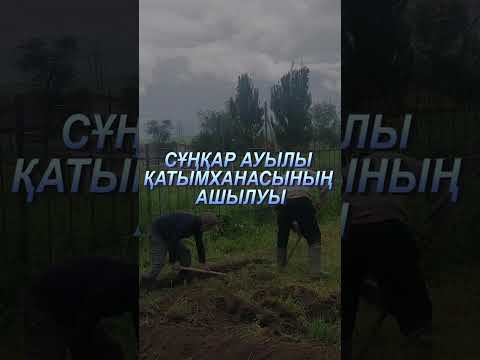 Видео: Сұңқар ауылы. Хатымханасының ашылуы.