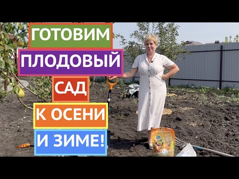 Видео: КАК ПОДГОТОВИТЬ ПЛОДОВЫЙ САД К ОСЕНИ И ЗИМЕ!