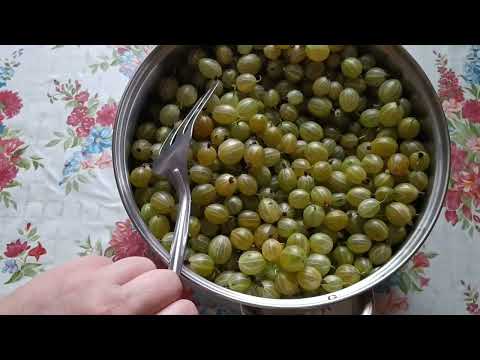 Видео: ДЖЕМ из Крыжовника с лимонным вкусом КАК ПРИГОТОВИТЬ ДЖЕМ ЗА 10 МИНУТ Джем з агруса з лимоним смаком