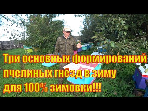 Видео: ОСНОВНЫЕ ТРИ СПОСОБА ФОРМИРОВАНИЯ ПЧЕЛОСЕМЕЙ В ЗИМУ ПРИБЛИЖЕННЫЙ К 100% ЗИМОВКИ