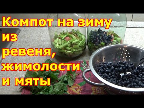 Видео: Компот из ревеня, жимолости и мяты на зиму. Надежный способ: очень быстро, просто и без стерилизации