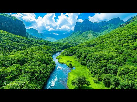 Видео: Музыка лечит сердце и сосуды🌿 Успокаивающая музыка восстанавливает нервную систему,расслабляющая