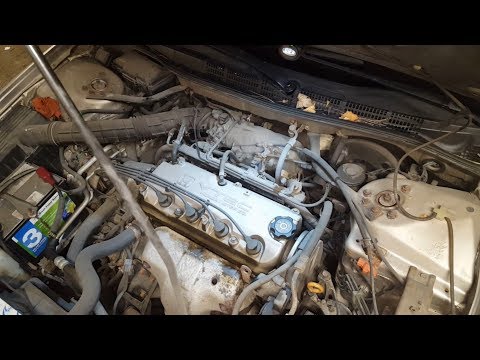Видео: Honda Accord 99 замена прокладки клапанной крышки / valve cover gasket replacement