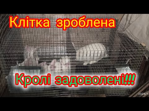 Видео: Клітка зроблена, перехіщини в кролів#клітка#кролі#гранулятор#корм