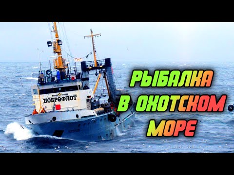 Видео: Крупнейший плавучий рыбозавод. Продолжение