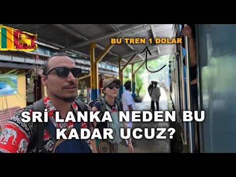 Видео: Уникальный опыт Шри-Ланки: мы соседствовали со слонами! ~156🇱🇰