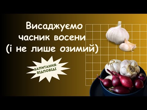 Видео: Садимо часник восени: тонкощі, яких ви могли не знати