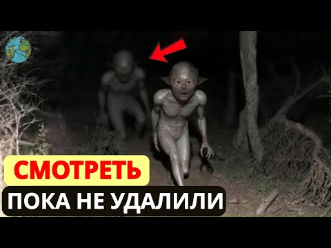 Видео: Если бы это не сняли в Конго, никто бы не поверил, что это реально! Документальный фильм