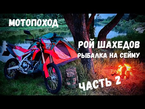 Видео: Когда над головой летают ШАХЕДЫ: Не выспался, но рыбу поймал / Мотопоход на Honda CRF 300 l