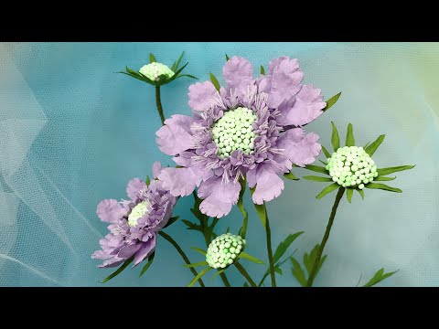 Видео: ABC TV | Как сделать Scabiosa из бумаги - Учебник по рукоделию