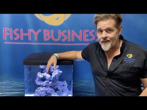 Видео: ЧТО ХРАНИТЬ В ВАШЕМ БИОКУБЕ | БИОКУБ 101