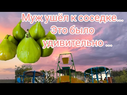 Видео: Незваный гость... Муж ушёл к соседке... Палич аквапарк.