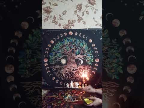 Видео: 🤔ТАРО ДЛЯ МУЖЧИН. Что вы не замечаете#мысличувствадействия #tarot 🤔