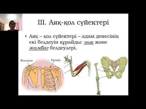 Видео: Тірек – қимыл жүйесі, оның жас ерекшелігі