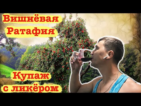 Видео: Вишнёвая РАТАФИЯ. Дегустация с овощами на мангале. Купаж с вишнёвым ликёром.
