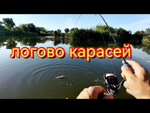 Видео: Мормышинг. Здесь куча рыбы, зря я сменил место.