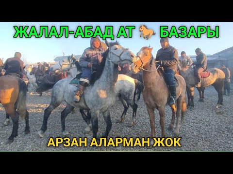 Видео: Жалал-Абад жылкы базары.