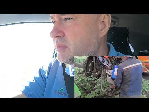 Видео: Уборка подсолнечника