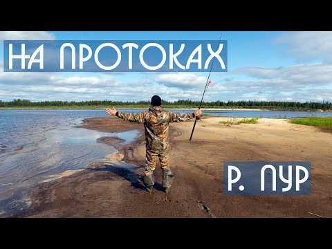 Видео: На протоках р. Пур. DF 43