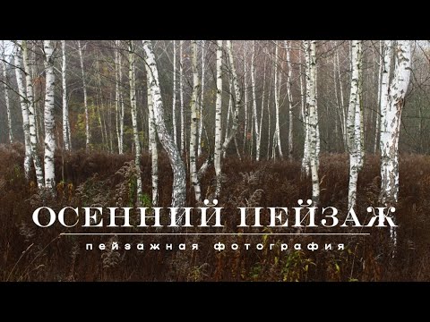 Видео: Осенний пейзаж | Пейзажная фотография | Природа Черниговщины