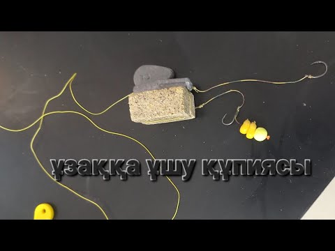 Видео: МАКУХА!!! АЛЫСКА ҰШУ ҚҰПИЯСЫ.