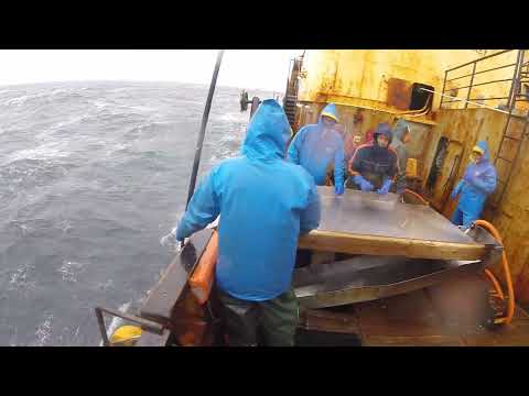 Видео: Работа в море на крабе 1ч.