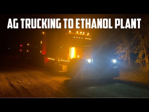 Видео: Грузоперевозки на завод этанола (грузоперевозки с бункером)