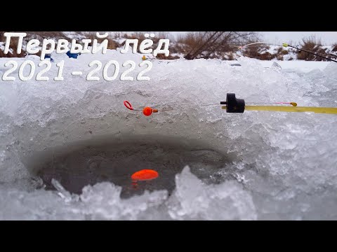 Видео: Крупный карась, ТАЩИТ в КУСТЫ! Ловля со льда, на удочку! Рыбалка зимой