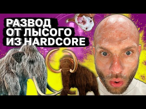 Видео: Курс от Hardcore FC l Сульянов и развод подписчиков