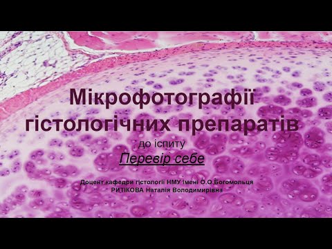 Видео: Мікрофотографії гістологічних препаратів. Перевір себе.