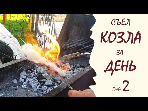 Видео: [Глава 2 из 3] 4 БЛЮДА + 4 ВИДА ШАШЛЫКА из козлятины I Съел всего козла за день