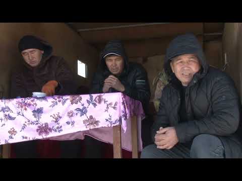 Видео: 22.12.2024 Жаңаталап ауылы Наурызбай мырзаның елден бата алу көкпары
