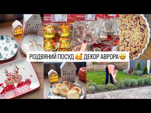 Видео: ОГЛЯД РІЗДВЯНОЇ КОЛЕКЦІЇ В АВРОРІ 🎄Мій посуд ❤️ ТЕРТИЙ ПИРІГ 👍 Смачні СНІДАНКИ