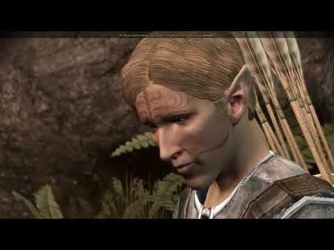 Видео: Прохождение Dragon Age: Origins (Часть 1)
