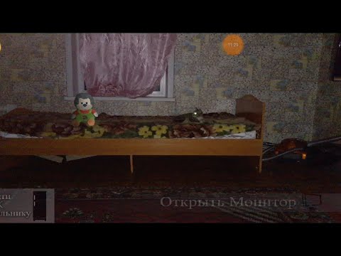 Видео: Пять ночей У Ёжика 0.4 #1 Живые игрушки