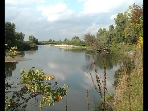 Видео: На берегах річки Любич