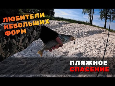 Видео: Большие приманки не работают? Есть классический выход!