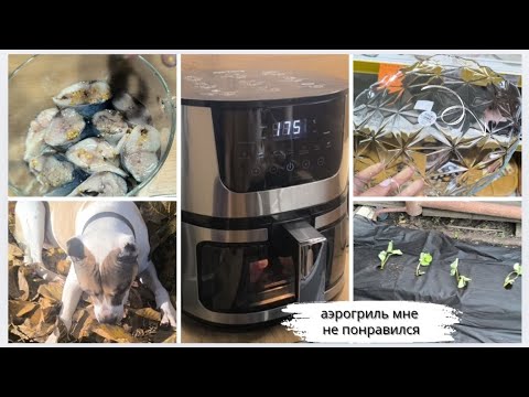 Видео: Интересная посуда🍽️Готовим вкуснейшую маринованную рыбу🐟 Высаживаем клубнику🍓