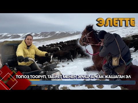 Видео: Жаратылыштын жаратман күчүнүн символу болгон Кара-Кужур // ЭЛЕТТЕ берүүсү