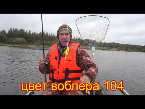 Видео: Осенняя рыбалка с друзьями на Озере Вселуг . Проверенный воблер выручает.