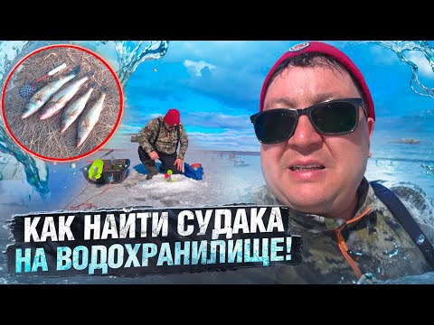 Видео: КАК НАЙТИ СУДАКА НА ВОДОХРАНИЛИЩЕ. Главный Секрет Раскрыт. Рыбалка 2025