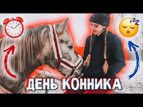 Видео: Как Проходит ДЕНЬ КОННИКА? / VLOG конюшня