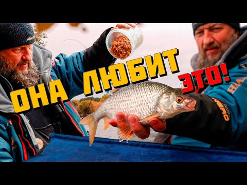 Видео: ЛУЧШАЯ ДОБАВКА В ПРИКОРМКУ ПО ХОЛОДНОЙ ВОДЕ! КОРМИ ЭТИМ И ЛОВИ БОЛЬШИХ РЫБ! С ФИДЕРОМ ОСЕНЬЮ.