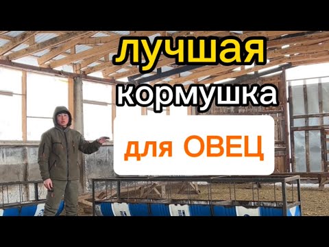 Видео: Кормушка для овец | Қойға арналған науа | Размеры эффективной кормушки для овец