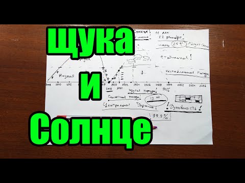 Видео: Щука и активность Солнца!