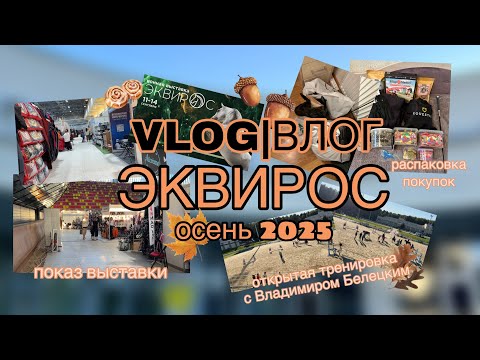 Видео: VLOG|ВЛОГ ЭКВИРОС осень 2025🍁✨OllixHorse