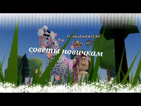 Видео: советы новичкам / Roblox /  острова диких лошадей