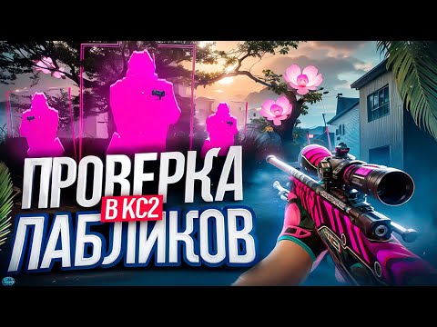 Видео: 🍷 Проверка Пабликов - Добрые Админы [XONE] // ПРОВЕРКА ПАБЛИКОВ В CS 2